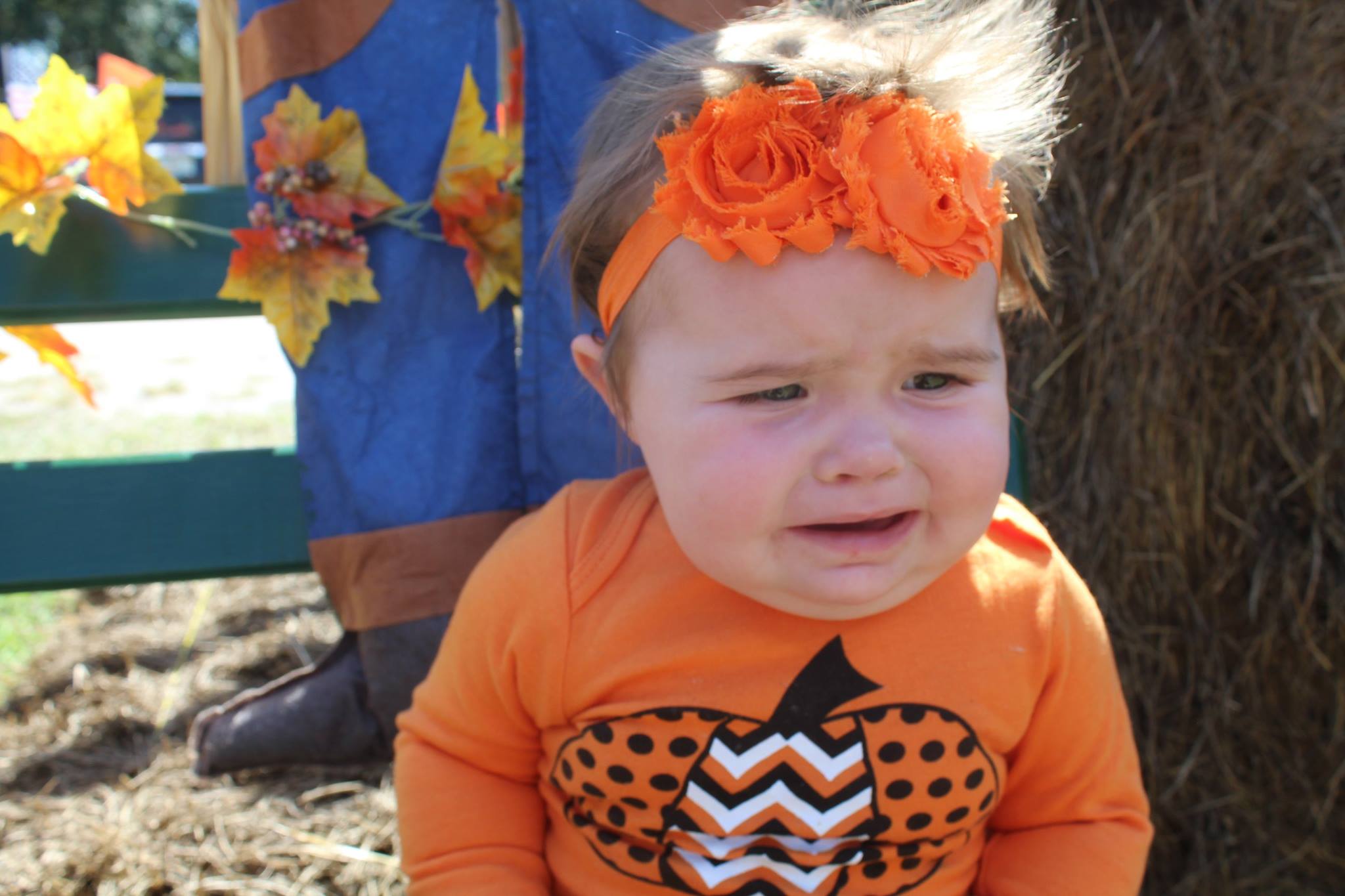 14681946_10153911907918038_8703866855890832268_o